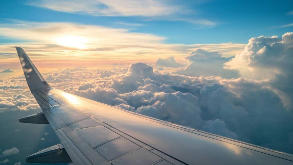 Another airline to be dissolved, all flights canceled